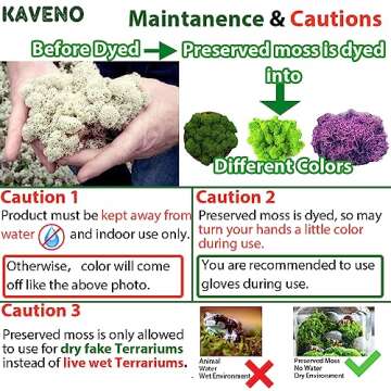 Stardom Moss Preserved, Green Moss for Fairy Gardens, Terrariums, Any Craft or Floral Project or Wedding Other Arts (Green, 3OZ)