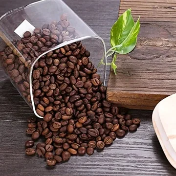 Airtight Glass Canister Set with Bamboo Lid - 5 Piece