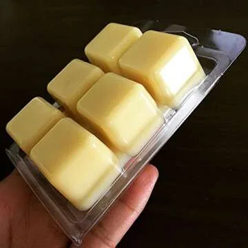 DGQ Wax Melt Molds - 100 Packs Clear Clamshells