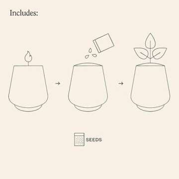 Rooted Candle Grow Set for Unique Indoor Gardening
