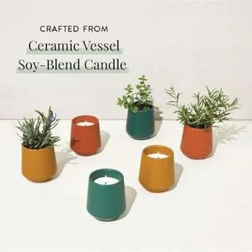 Rooted Candle Grow Set for Unique Indoor Gardening