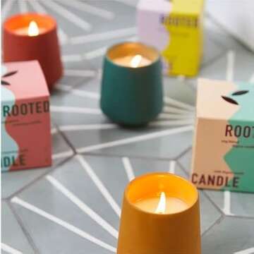 Rooted Candle Grow Set for Unique Indoor Gardening