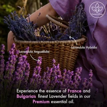 Majestic Pure Lavender Essential Oil with Dropper