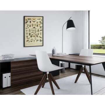 Monarch Butterfly Room Decor Colorful Papillons Chart Bookplate Retro Botanical Nature Animal Vintage Aesthetic Science Education Dorm Bedroom Cool Wall Art Print Poster 12x18