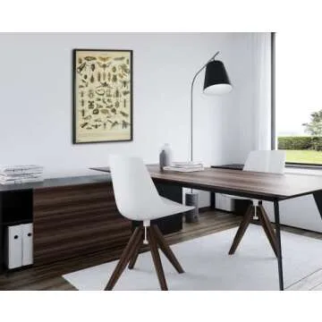 Monarch Butterfly Room Decor Colorful Papillons Chart Bookplate Retro Botanical Nature Animal Vintage Aesthetic Science Education Dorm Bedroom Cool Wall Art Print Poster 12x18