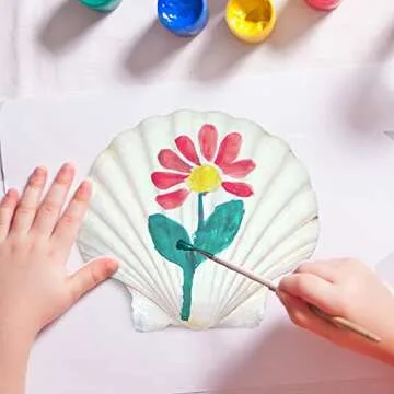 SEAJIAYI 6PCS Scallop Shells for Creative Cooking