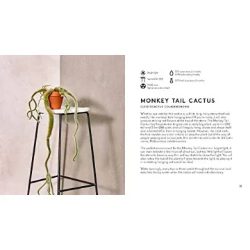 Ultimate Indoor Gardening Guide with Beautiful Photos