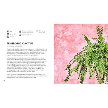 Ultimate Indoor Gardening Guide with Beautiful Photos