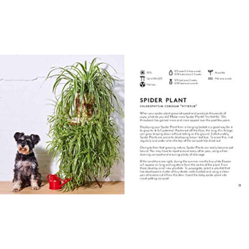 Ultimate Indoor Gardening Guide with Beautiful Photos