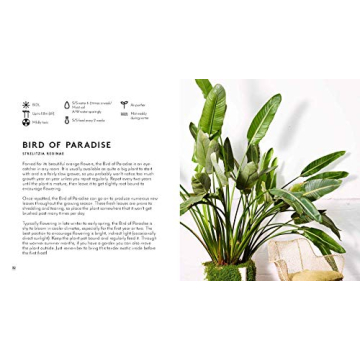 Ultimate Indoor Gardening Guide with Beautiful Photos