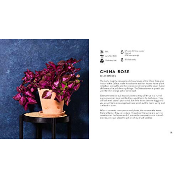 Ultimate Indoor Gardening Guide with Beautiful Photos