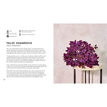 Ultimate Indoor Gardening Guide with Beautiful Photos