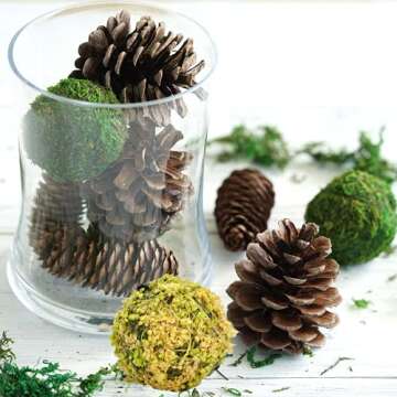 BYHER Natural Preserved Moss Balls for Versatile Home Decor