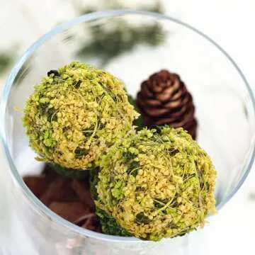 BYHER Natural Preserved Moss Balls for Versatile Home Decor