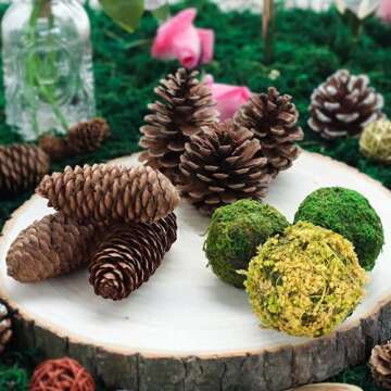 BYHER Natural Preserved Moss Balls for Versatile Home Decor