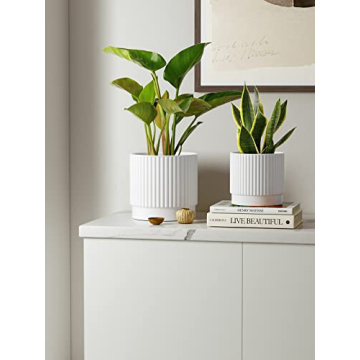 LE TAUCI Ceramic Plant Pots Set of 3 with Drainage Holes