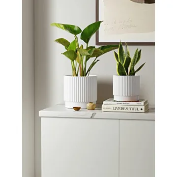 LE TAUCI Ceramic Plant Pots Set of 3 with Drainage Holes