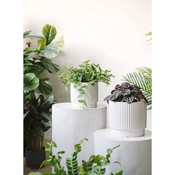 LE TAUCI Ceramic Plant Pots Set of 3 with Drainage Holes