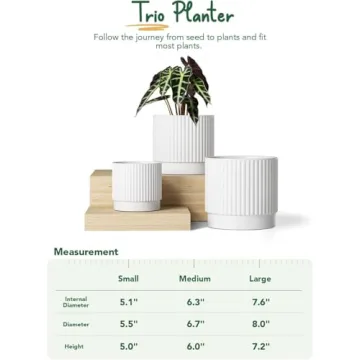 LE TAUCI Ceramic Plant Pots Set of 3 with Drainage Holes