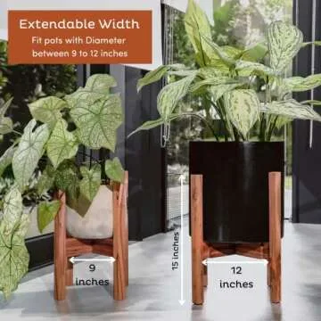 Adjustable Mid Century Acacia Wood Plant Stand for Any Home