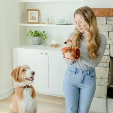 everyday joy Crinkle Dog Toy Plush Toy - Long Tug-of-War Squeaky Dog Toy Boredom Buster Toys with Snack Pockets - Durable Enrichment Mentally Stimulating Toys for Dogs Small, Medium, Large - Squirrel