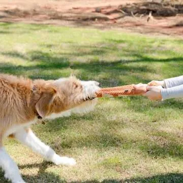 everyday joy Crinkle Dog Toy Plush Toy - Long Tug-of-War Squeaky Dog Toy Boredom Buster Toys with Snack Pockets - Durable Enrichment Mentally Stimulating Toys for Dogs Small, Medium, Large - Squirrel