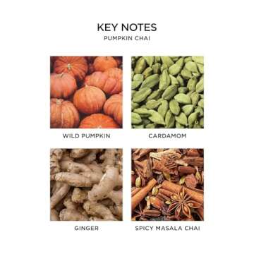 NEST Fragrances Pumpkin Chai Liquid Hand Soap, 10 Fl Oz