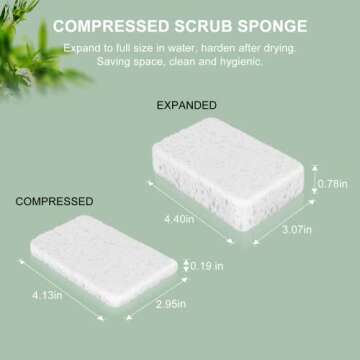 SetSail 4-in-1 Kitchen Dish Brush Set with Holder