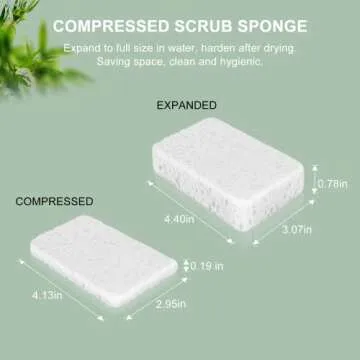 SetSail 4-in-1 Kitchen Dish Brush Set with Holder