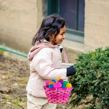Plastic Easter Eggs for Fun, Crafts & Celebrations