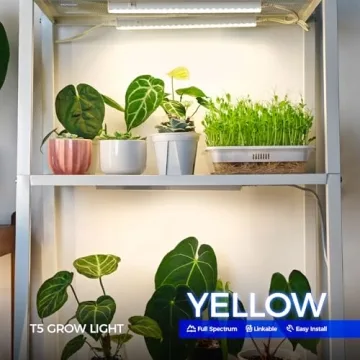 Barrina T5 Grow Lights for Thriving Indoor Plants