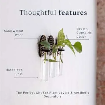 Liveful Wall Planter Set of 3 | Stylish, Boho Wall Plant Holder 4"x8" | Aesthetic Wall Decor | Propagation Wall Hanging | Propagation Stations Wall Plants for Kitchen, Bedroom, Office