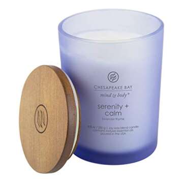 Chesapeake Bay Candle Serenity Calm Tranquility 2-Pack