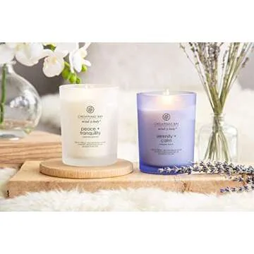 Chesapeake Bay Candle Serenity Calm Tranquility 2-Pack