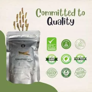 Unique Rice Field Grasshoppers - Crunchy Edible Snack