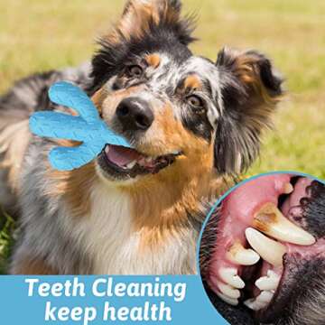 SOBAKEN kollpop Dog Chew Toys, Durable Rubber Dog Toys for Aggressive Chewers, Cactus Tough Toys for Training and Cleaning Teeth