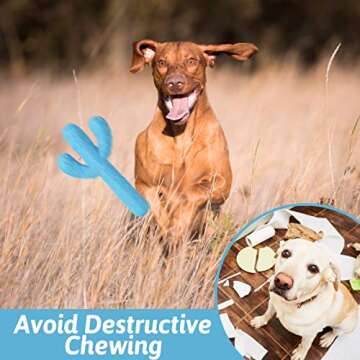 SOBAKEN kollpop Dog Chew Toys, Durable Rubber Dog Toys for Aggressive Chewers, Cactus Tough Toys for Training and Cleaning Teeth