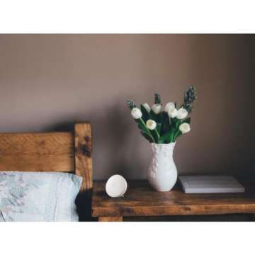 Airthings-292 Wave Mini - Indoor Air Quality - Chemicals (TVOCs), Humidity, Temperature 20 x 30 x 1