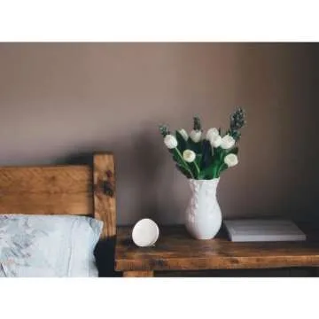 Airthings Wave Mini - Smart Indoor Air Quality Monitor