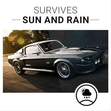 CAR GUYS Plastic Restorer | Bring Plastic, Rubber, and Vinyl Back to Life! | User Friendly Trim Restorer | Safe Auto Detailing Supplies | 8 Oz Kit with Foam Applicator