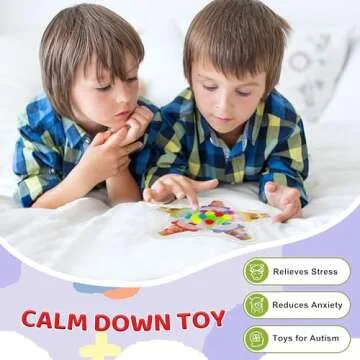 Color Sorting Sensory Toys for Toddlers, Color Matching Fidget Toys for Calm Down, Preschool Learning & Educational Montessori Toys Fine Motor Skills Game for Kids Boys Girls Ages 3-5