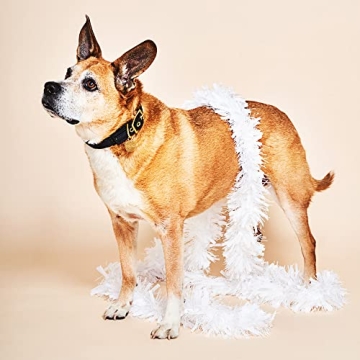 Found My Animal Velvet Pet Collar - Adjustable & Durable