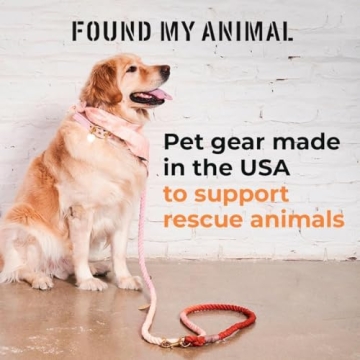 Found My Animal Velvet Pet Collar - Adjustable & Durable