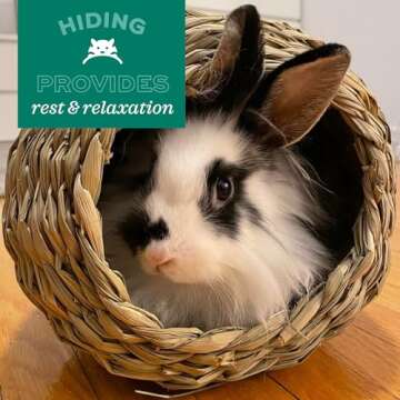 Oxbow Animal Health Timothy Club Timothy Bungalow, Medium