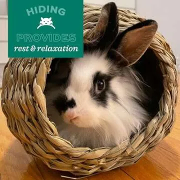 Oxbow Animal Health Timothy Club Timothy Bungalow, Medium