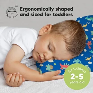 My Little Dreamy Toddler Pillow with Pillowcase - Organic Comfort