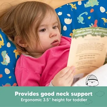 My Little Dreamy Toddler Pillow with Pillowcase - Organic Comfort