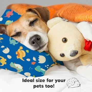 My Little Dreamy Toddler Pillow with Pillowcase - Organic Comfort