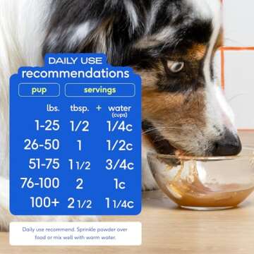 Native Pet Beef Bone Broth Powder for Dogs & Cats, 9.5 oz - Pet Gravy Food Topper for Picky Eaters – Cat & Dog Bone Broth Powder - Protein Rich Pet Food Supplement & Collagen Source