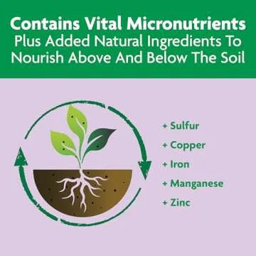 Miracle-Gro Rose & Bloom Plant Food for Vibrant Blooms